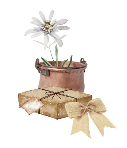 Idee regalo